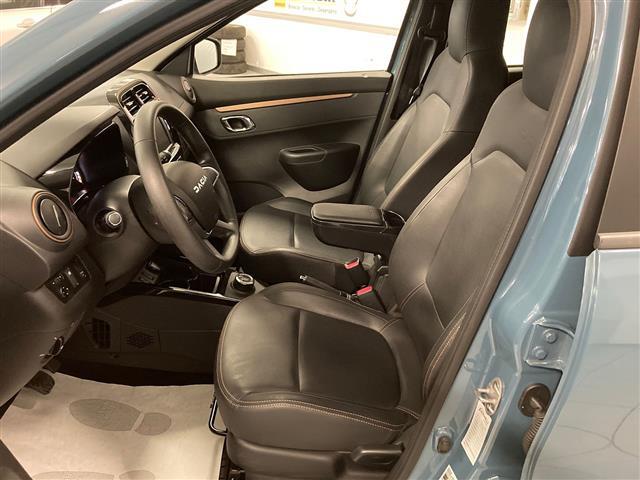DACIA Spring 00014632_VO38013022