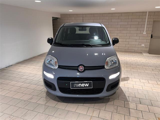 FIAT Panda III 2021 01247122_VO38013065