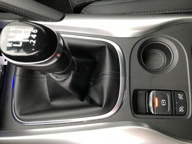 Exterieur Kadjar  grijs