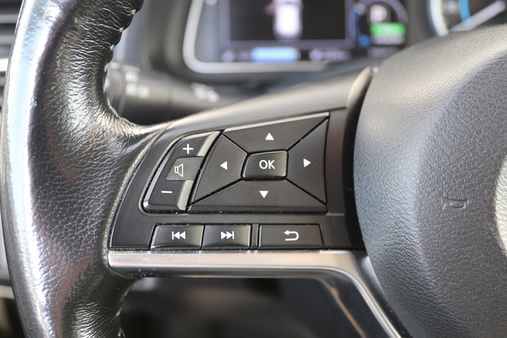 Exterior LEAF  ALB