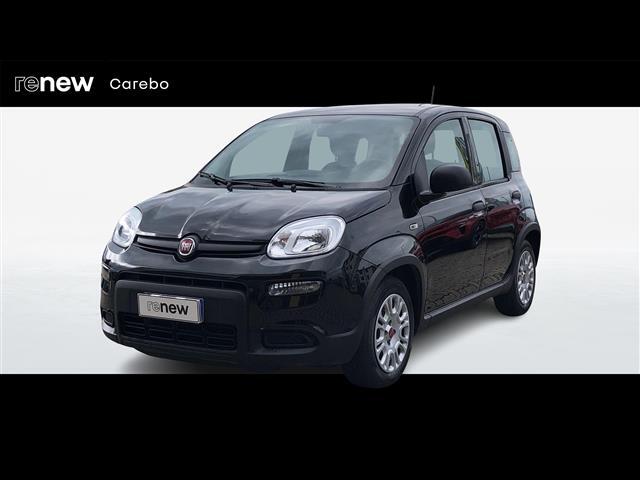 FIAT Panda III 2021 03450499_VO38013139
