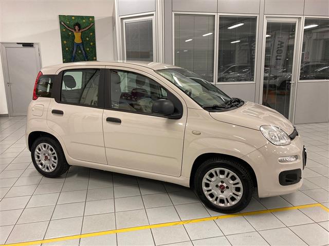 FIAT Panda 00014337_VO38013022