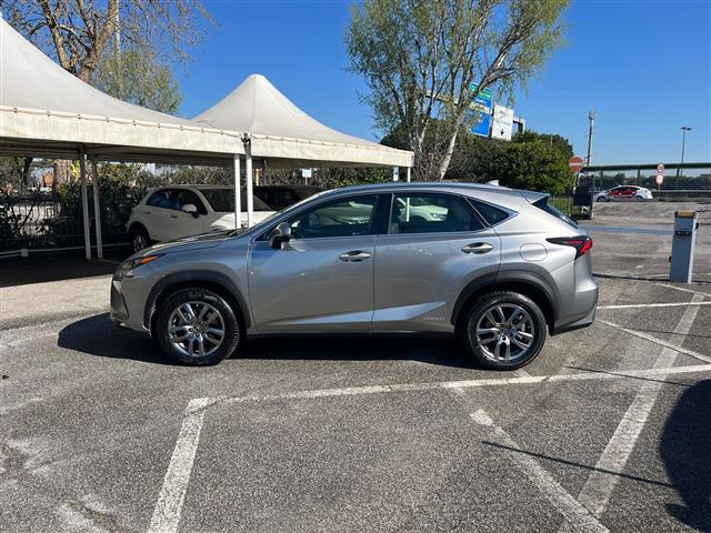 LEXUS NX I 2018 02640154_VO38043366