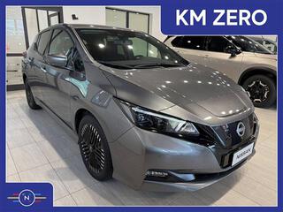 NISSAN Leaf II 2022 00016017_VO38023184