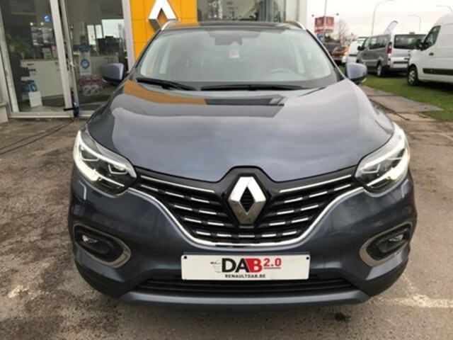 Exterieur Kadjar  grijs