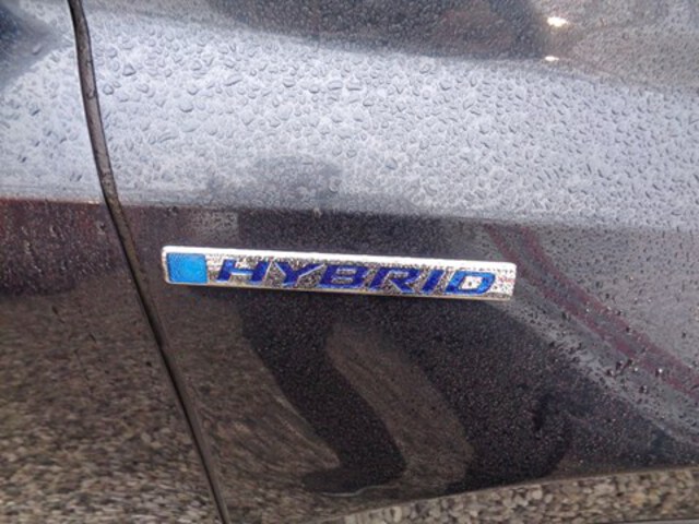 Exterieur CR-V  blauw