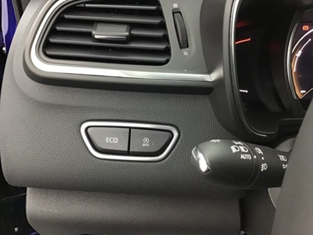 Exterieur Kadjar  blauw