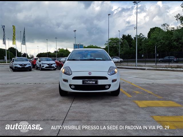 FIAT Punto 01091421_VO38013498