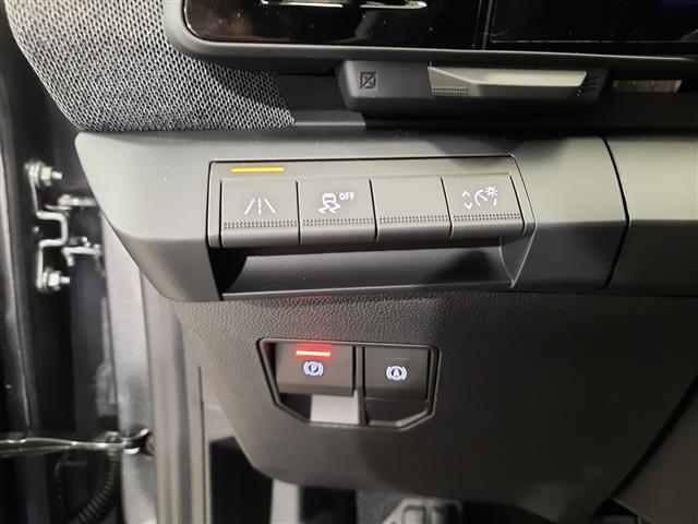 RENAULT Megane 00049278_VO38013022