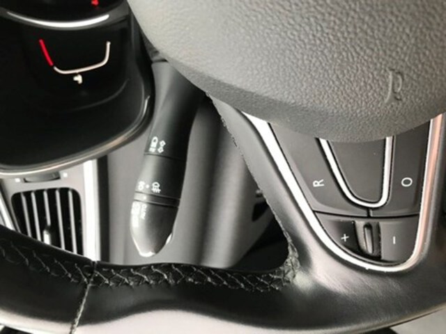 Exterieur Kadjar  grijs