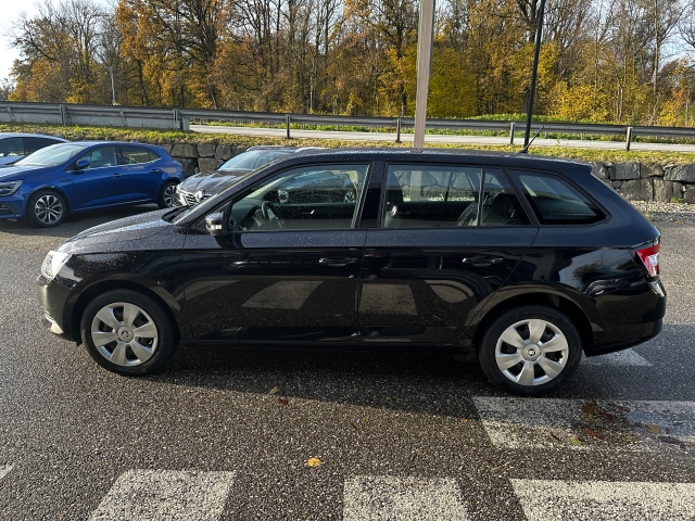 Außenausstattung Fabia schwarz              schwarz