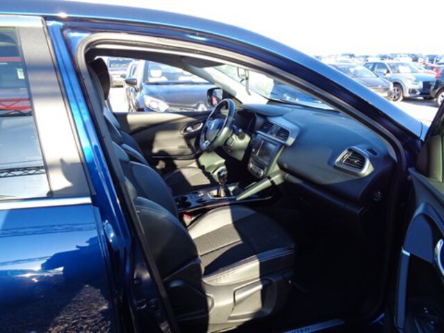 Exterieur Kadjar  blauw