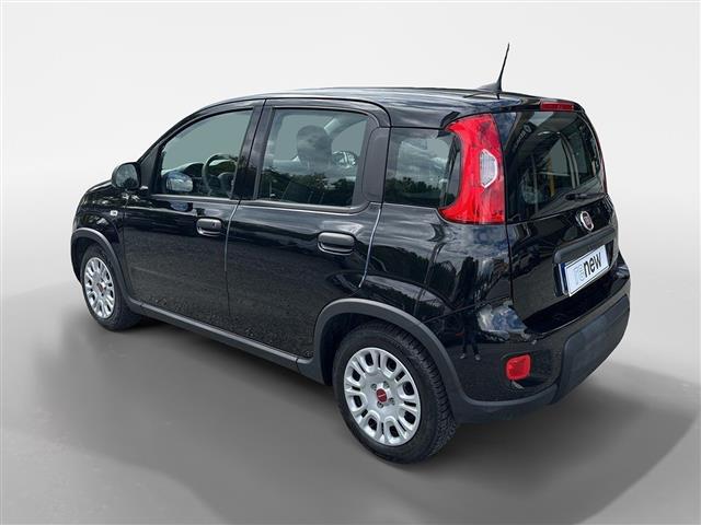 FIAT Panda III 2021 01515405_VO38053436