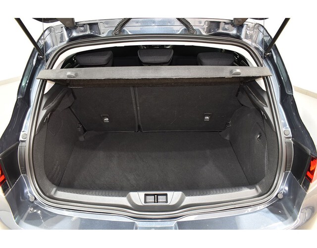 Inside Mégane Diesel  Gris oscuro