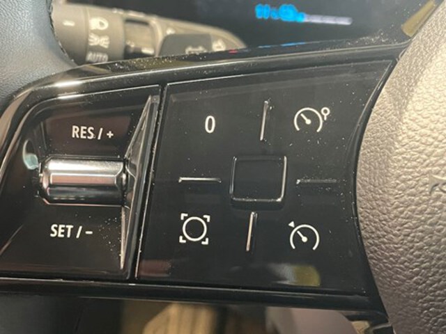 Exterieur Megane  zwart