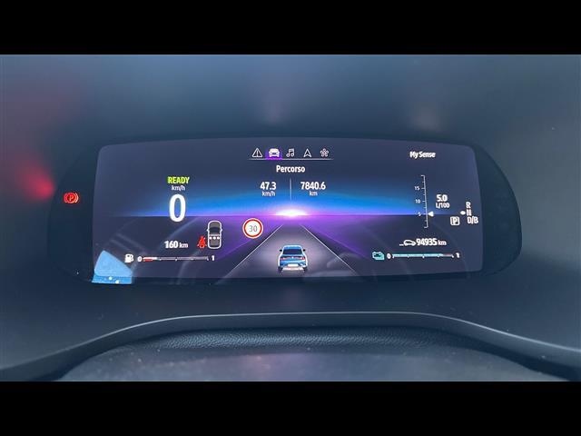 RENAULT Arkana 03447949_VO38013139