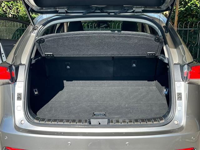 LEXUS NX I 2018 02640154_VO38043366