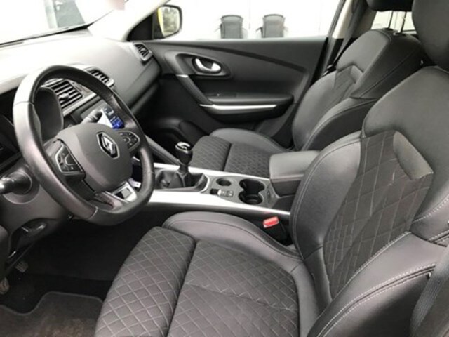 Exterieur Kadjar  grijs