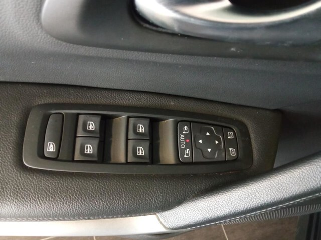 Inside Kadjar  NEGRO