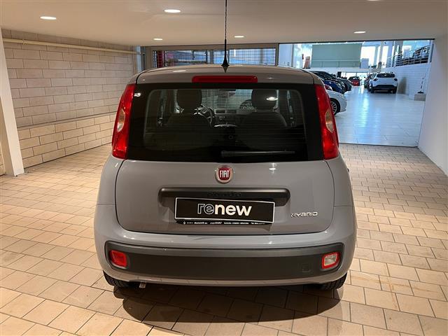 FIAT Panda III 2021 01247122_VO38013065