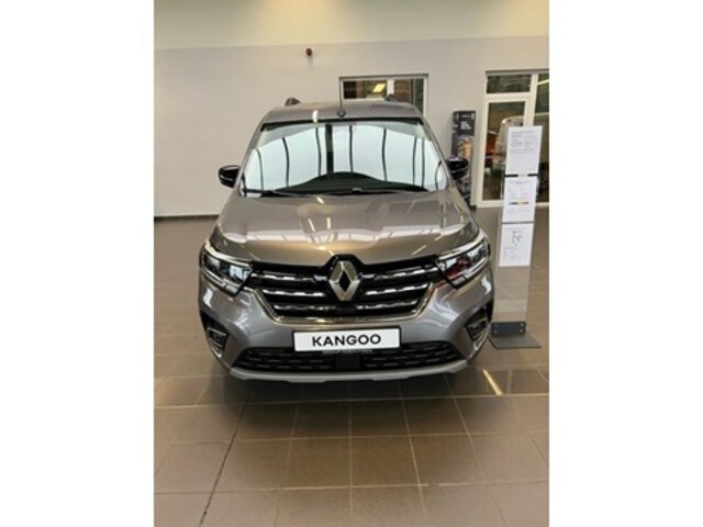 Exterieur Kangoo  grijs