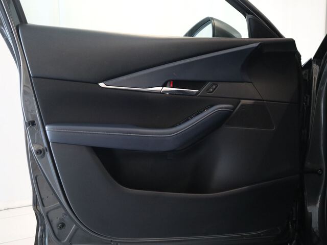 Inside CX-30  GRIS