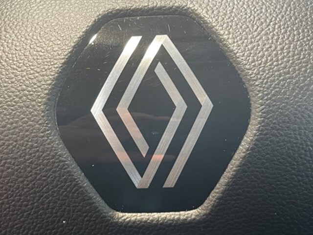 Exterieur Megane  zwart