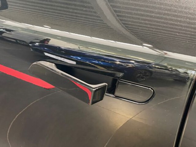 Exterieur Megane  zwart