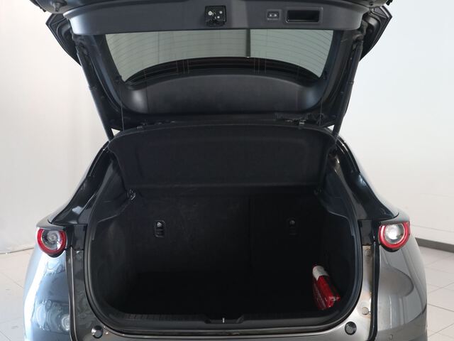 Inside CX-30  GRIS