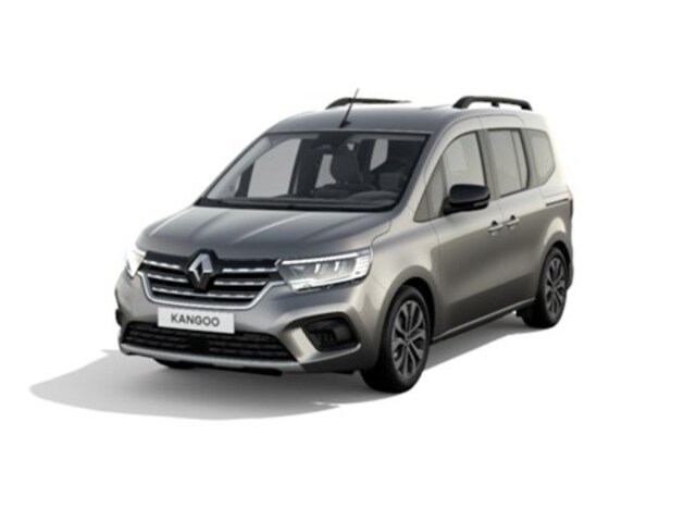 Exterieur Kangoo  grijs