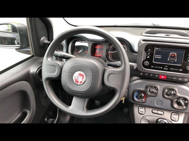 FIAT Panda III 2021 03450499_VO38013139
