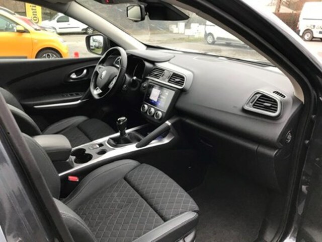 Exterieur Kadjar  grijs
