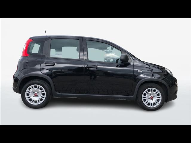 FIAT Panda III 2021 03450499_VO38013139