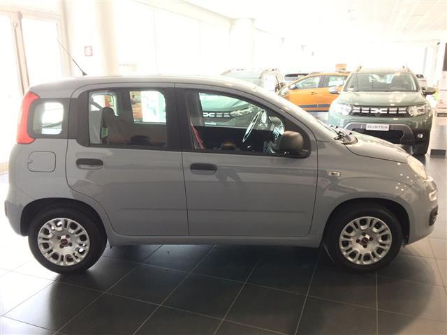 FIAT Panda 00024099_VO38013404