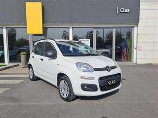 FIAT Panda Van 2021  16 12  Benzina 05894566_VO38013080