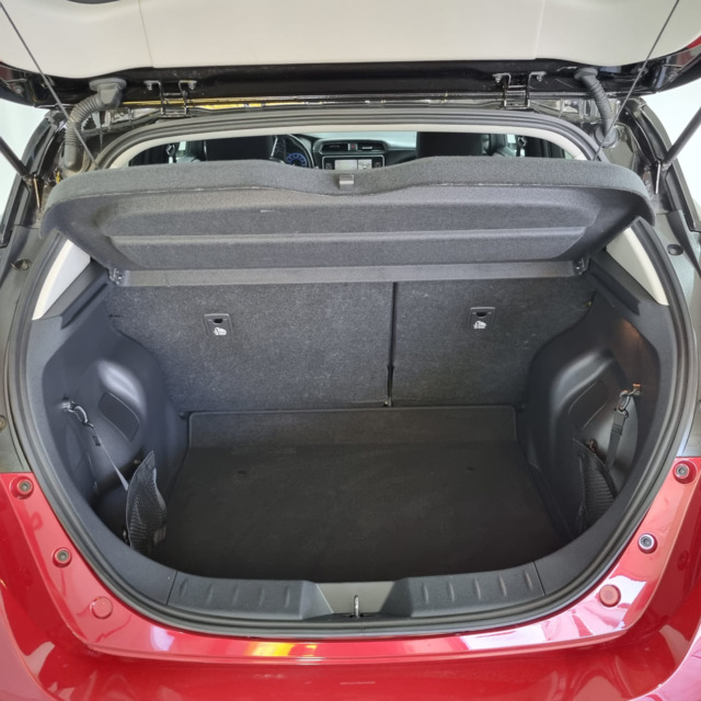 Interior LEAF  ROSU