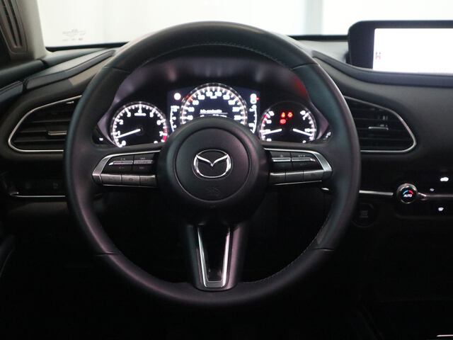 Inside CX-30  GRIS
