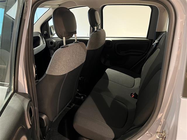 FIAT Panda III 2021 01247122_VO38013065
