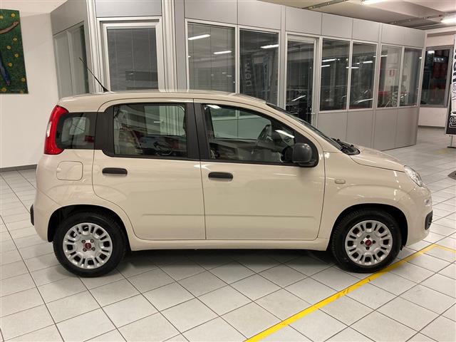 FIAT Panda 00014337_VO38013022