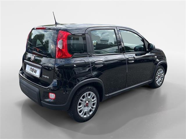 FIAT Panda III 2021 01515405_VO38053436