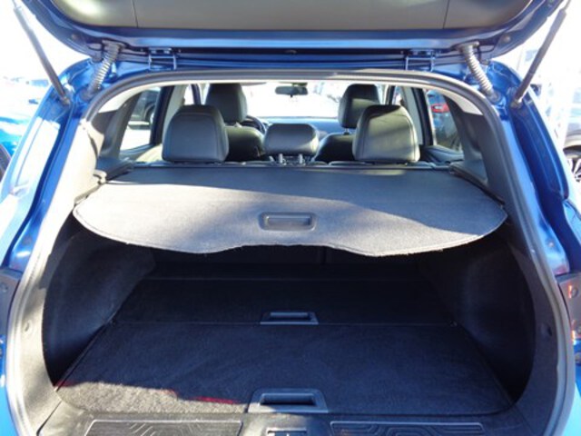 Exterieur Kadjar  blauw
