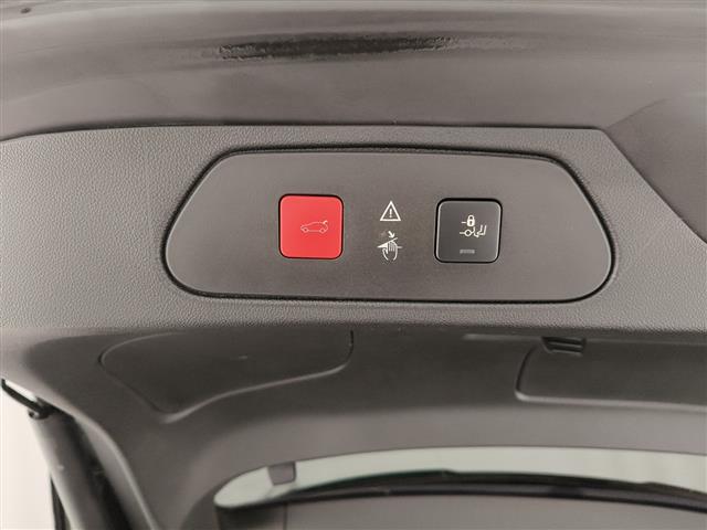 OPEL Grandland X 00189236_VO38023507