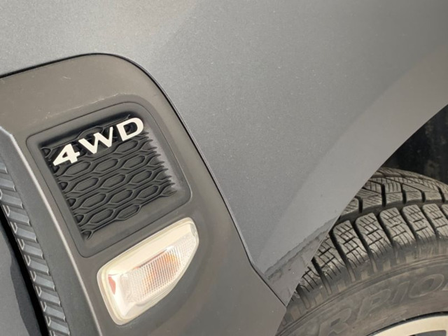 Exterior DUSTER  GRI