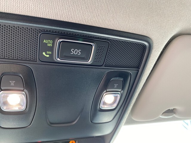 Inside Clio  gris