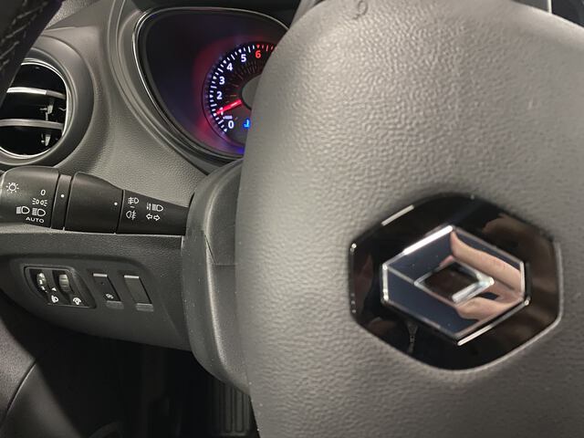Inside Captur  Gris Casiopea/Techo 