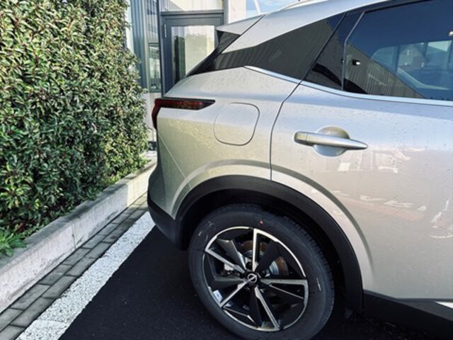 Exterieur Qashqai  zilver