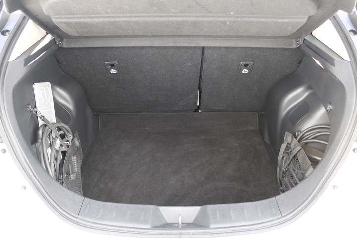 Interior LEAF  ALB