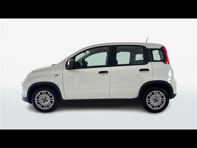 FIAT Panda III 2021 04998182_VO38013058