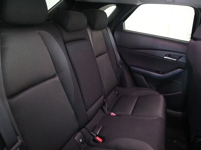 Inside CX-30  GRIS