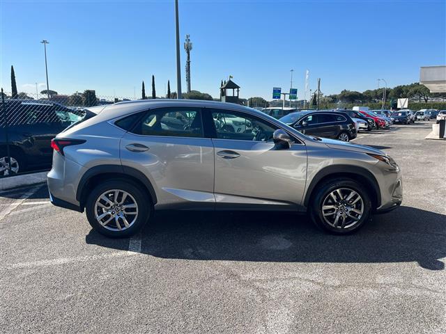 LEXUS NX I 2018 02640154_VO38043366